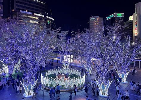 博多駅イルミネーション - 光の祭典と都市の物語